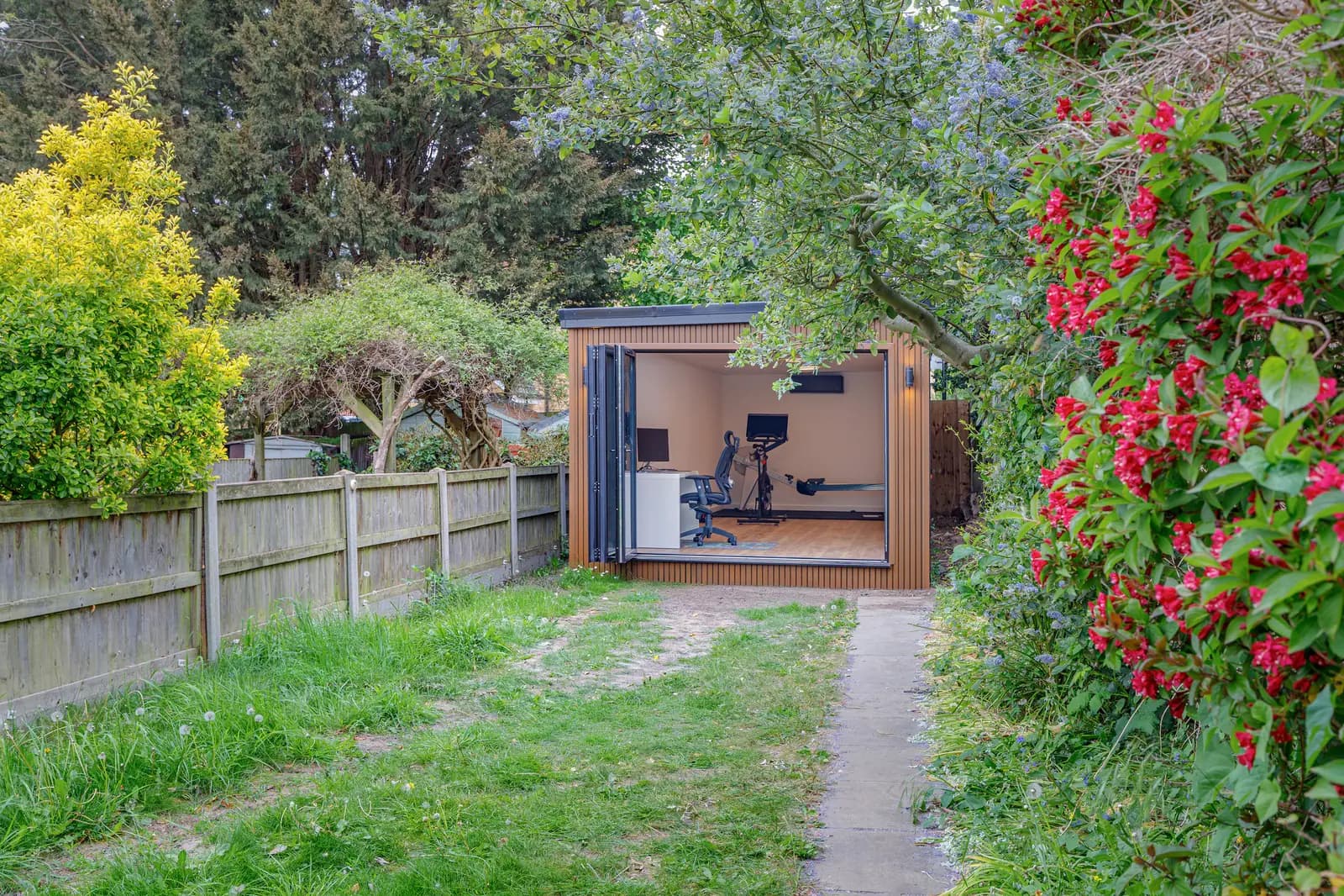 Garden studio with open doors and exercise equipment, framed by flowering shrubs